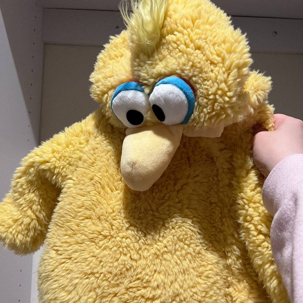 Pottery Barn Big Bird Costume 6-12 months